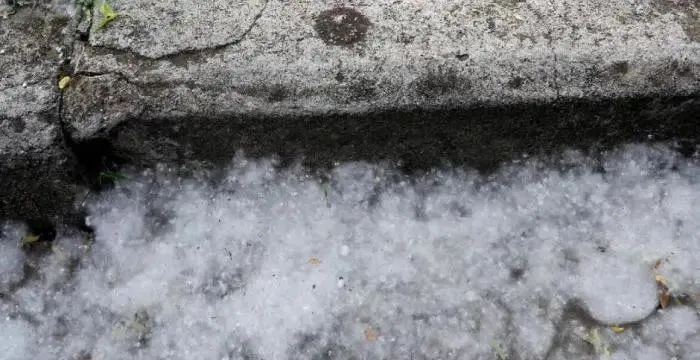 春季柳絮多，空壓機如何防范和清理