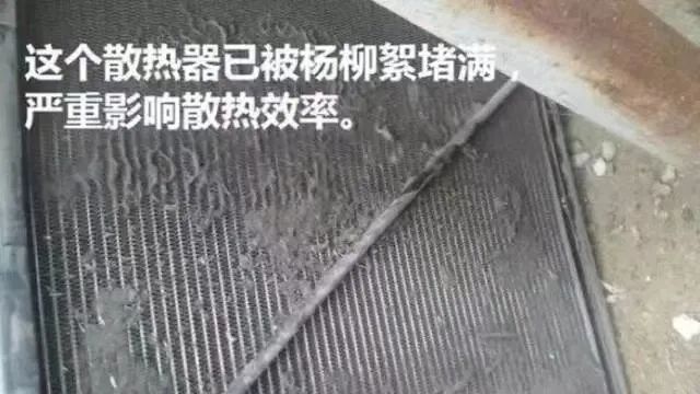 春季柳絮多，空壓機如何防范和清理
